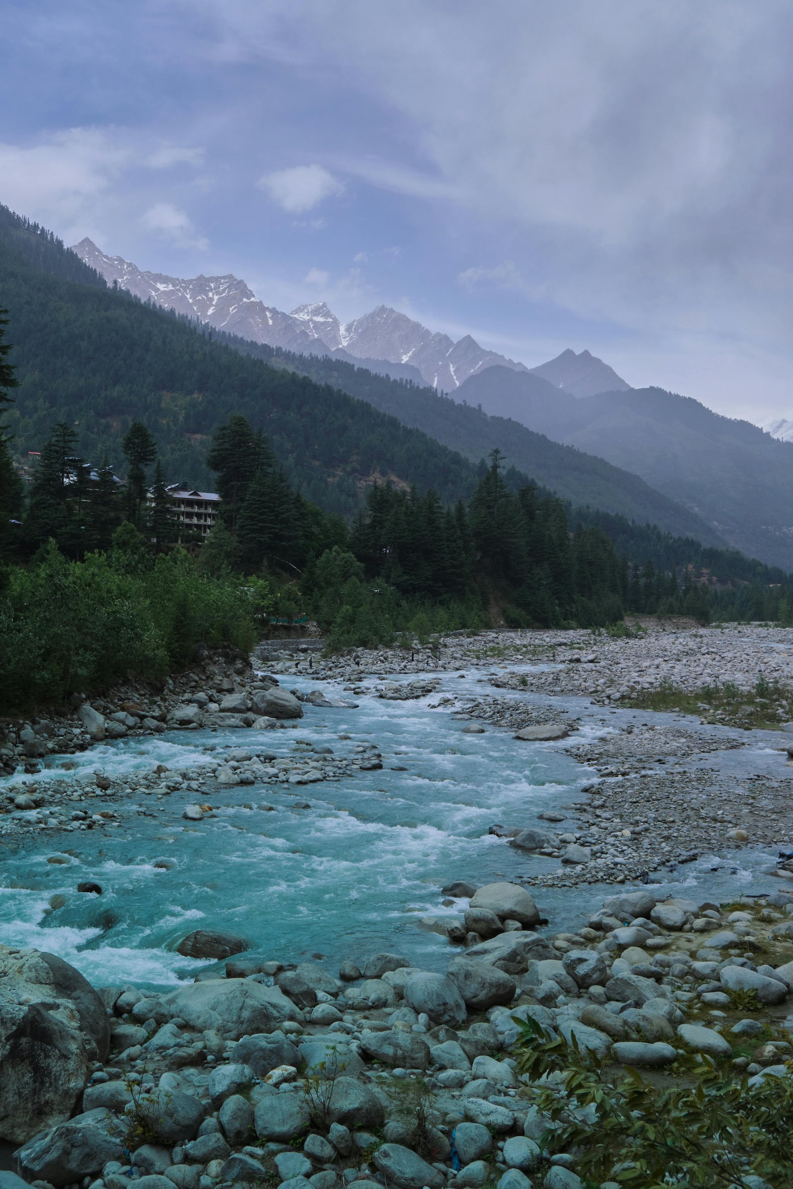 Uploaded Image