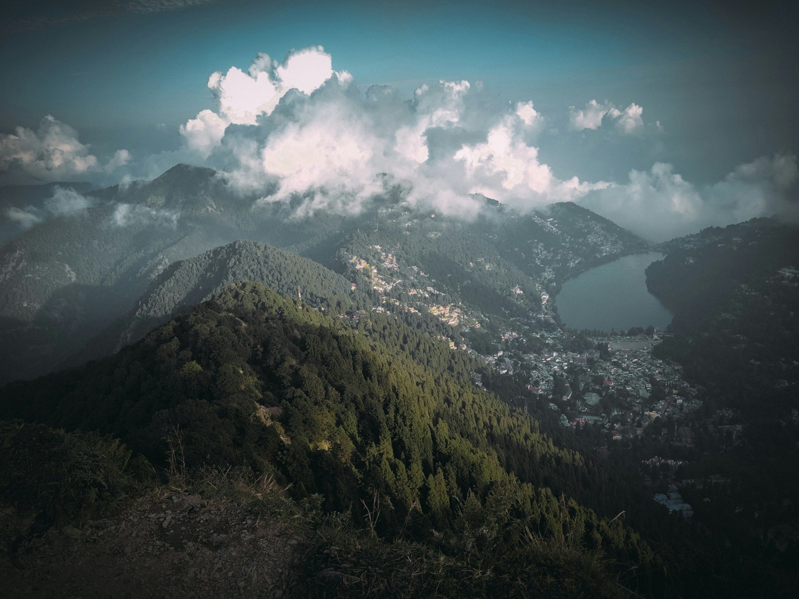 Uploaded Image